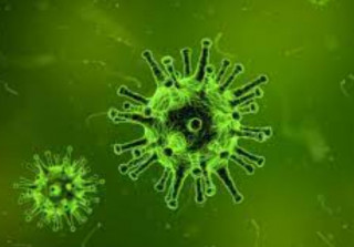 У США людина вперше померла від вірусу Аляскапокс
