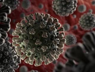 Обнаружена еще одна опасность коронавируса для женщин
