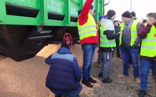 Поляки на кордоні висипали українське зерно із вагону