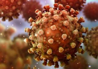Мужчина сделал себе 217 прививок от коронавируса: медики рассказали, что с ним произошло