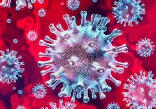 Вчені дізнались про коронавірус дещо дуже незвичайне