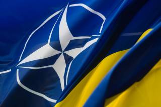 Министр обороны Польши нерадостно оценил перспективы членства Украины в НАТО