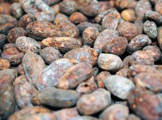Какао-бобы в мире продолжают сильно дорожать