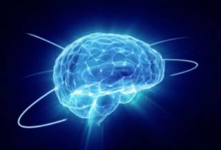 Ученые рассказали, как «почистить» мозг