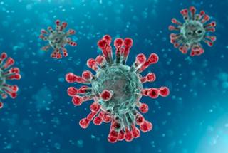 Ученые рассказали, как коронавирус «гробит» сердце