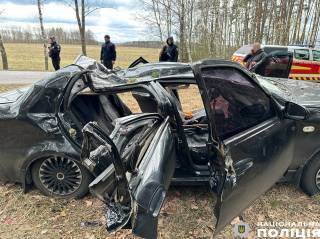 В Черниговской области дерево упало на автомобиль – погибли люди