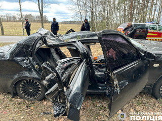 На Чернігівщині дерево впало на автомобіль – загинули люди