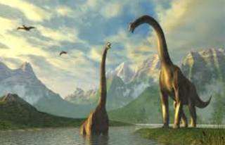 Правило Бергмана: ученые узнали о динозаврах кое-что странное