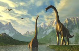 Правило Бергмана: вчені дізналися про динозаврів дещо дивне