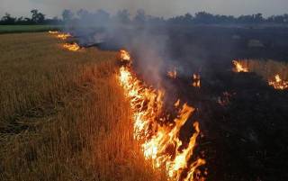 Киевлян предупредили о чрезвычайном уровне пожарной опасности