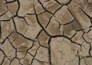 США накрыла сильнейшая с VIII века засуха