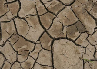 США накрила сильна з VIII століття посуха