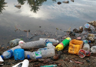 Вчені б'ють на сполох: пластик може занапастити морських мешканців