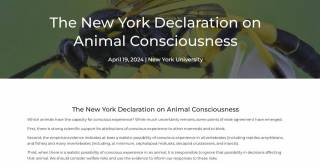 Животные обладают сознанием, - биологи подписали соответствующую декларацию