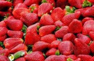 Популярный диетолог поведала, какие ягоды помогут похудеть