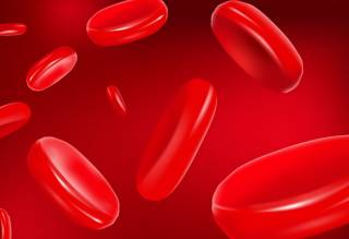 Ученые научились… изменять группу крови человека