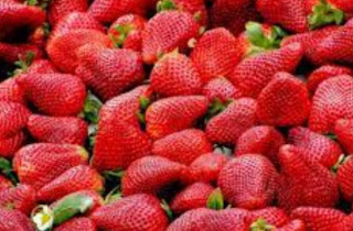 Популярний дієтолог розповіла, які ягоди допоможуть схуднути
