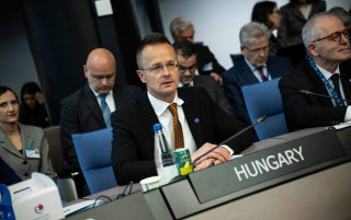 Угорщина ветувала резолюцію Ради Європи щодо України