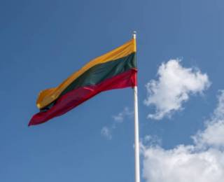 Литва хочет отправить своих военных инструкторов в Украину