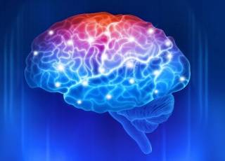 Стало известно, как мозг человека «переваривает» негативный опыт