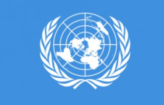 ООН звинуватила Ізраїль у порушенні законів війни