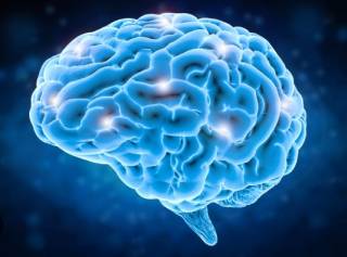 Ученый придумали способ, который поможет «ускорить» мозг