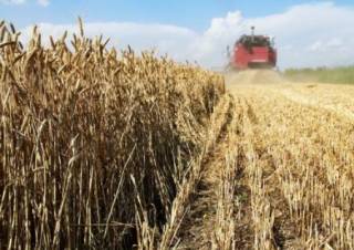В Украине стартовала уборка урожая зерна