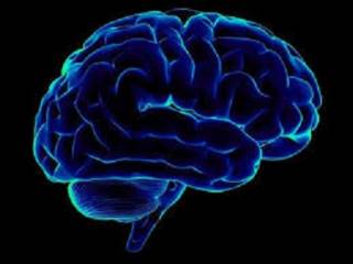 Американцы узнали о человеческом мозге кое-что новое
