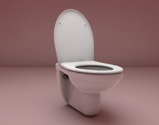 Британський психолог розповіла про «туалетний парадокс»