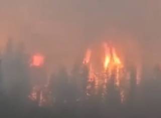 Появилось видео эпичного лесного пожара в России