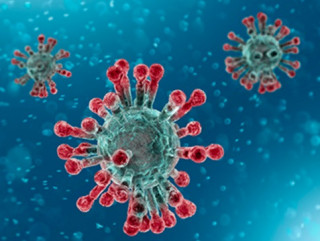 Напередодні Олімпіади в Парижі зафіксовано спалах коронавірусу