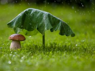 Синоптики говорят, что погода продолжит интриговать украинцев