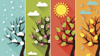 Канадцы узнали, как времена года влияют… на наши моральные ценности