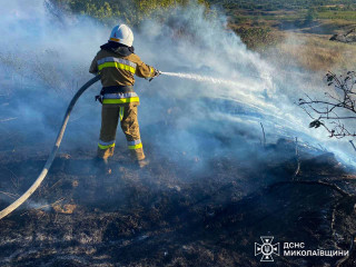 Україну охопили сотні лісових пожеж