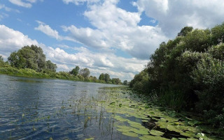 У Мінприроди оцінили якість води у Київській, Чернігівській та Сумській областях