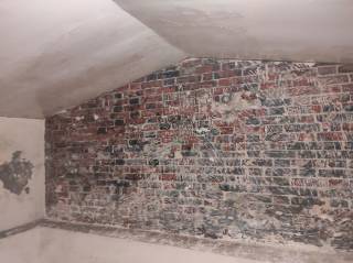 Эффективное удаление плесени в Одессе