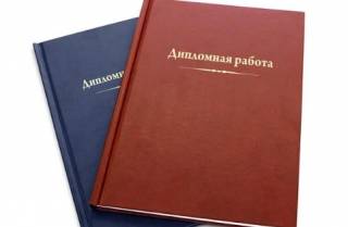 Как правильно писать дипломную работу о современной политике