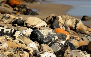 В Черном море осело 5 тысяч тонн мазута