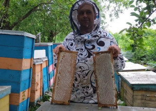 Корисні властивості продуктів бджільництва