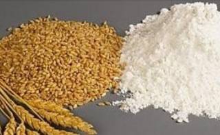 Клейковина пшеничная: универсальный ингредиент для пищевой промышленности