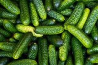 Австралийцы перечислили «бесполезные» для кишечника овощи