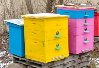 Ростислав Гнучій:  ким є насправді полковник СЗРУ? ЗМІ провели розслідування