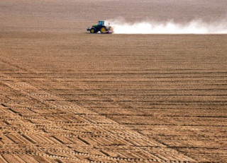 Посівна-2025 в Україні йде з випередженням