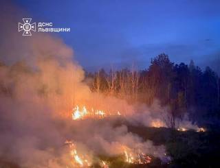 Во Львовской области сгорели дачные дома