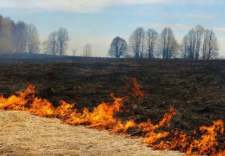 У Києві та області оголошено надзвичайний рівень пожежної небезпеки до кінця тижня