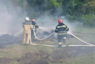 В Харьковской области вспыхнул масштабный лесной пожар