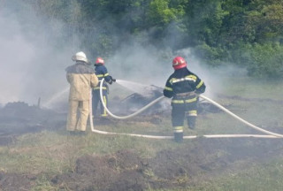 У Харківській області спалахнула масштабна лісова пожежа
