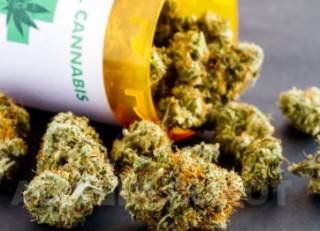 В Лондоне хотят легализовать хранение каннабиса