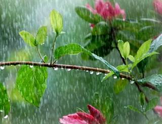 Синоптики поведали украинцам, чего ожидать от погоды в обозримом будущем