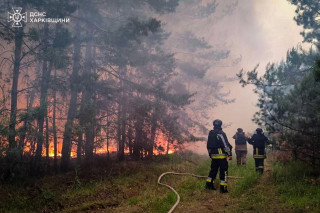 У Харківській області вирувала масштабна лісова пожежа